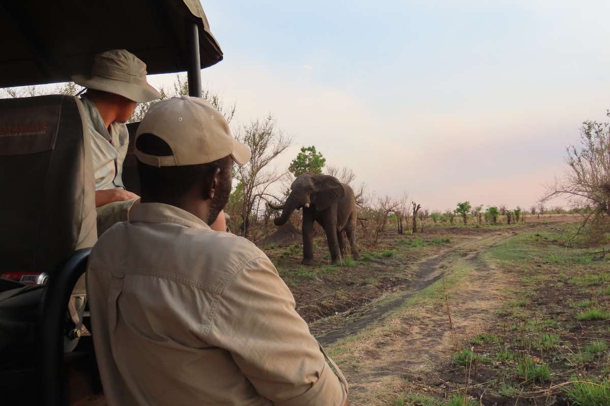 Nantwich Lodge, Hwange National Park (1)
